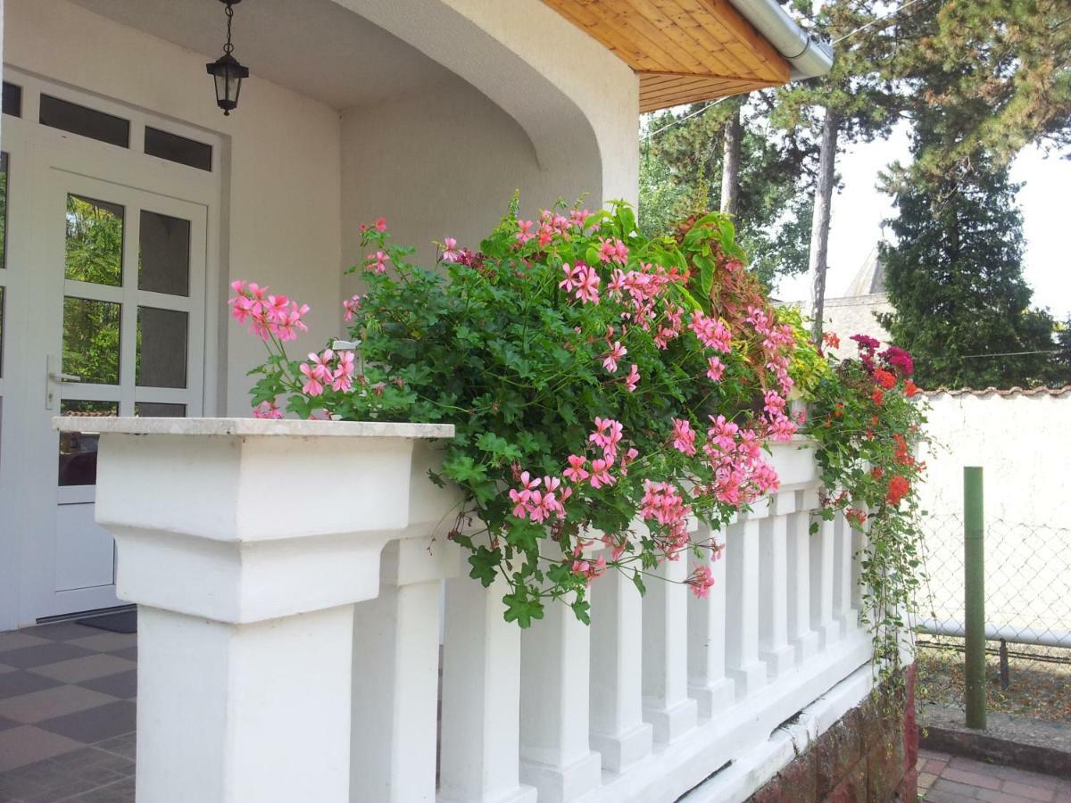 Anna Villa บาลาตอนแลลเล ภายนอก รูปภาพ